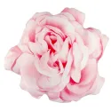 Coussin rose lumineux