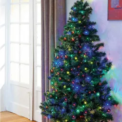 Sapin Magic gain de place